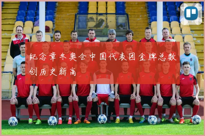 纪念章冬奥会中国代表团金牌总数创历史新高