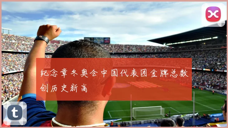 纪念章冬奥会中国代表团金牌总数创历史新高