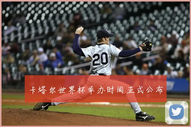 卡塔尔世界杯举办时间正式公布