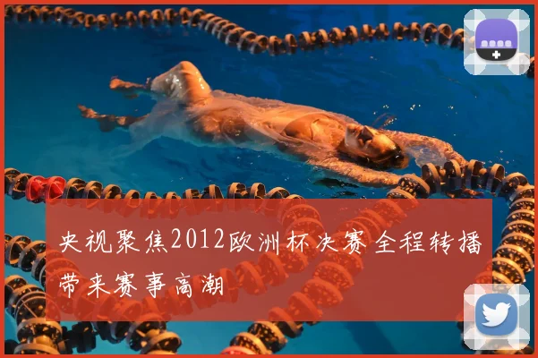 央视聚焦2012欧洲杯决赛全程转播带来赛事高潮