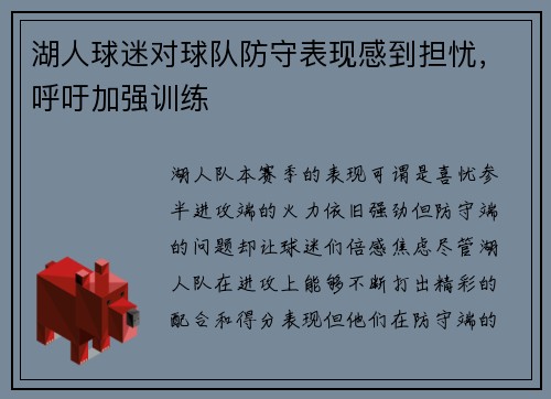 湖人球迷对球队防守表现感到担忧，呼吁加强训练